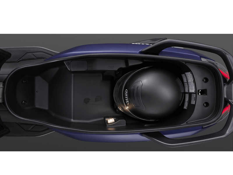 2 Helmets Storage (45L)